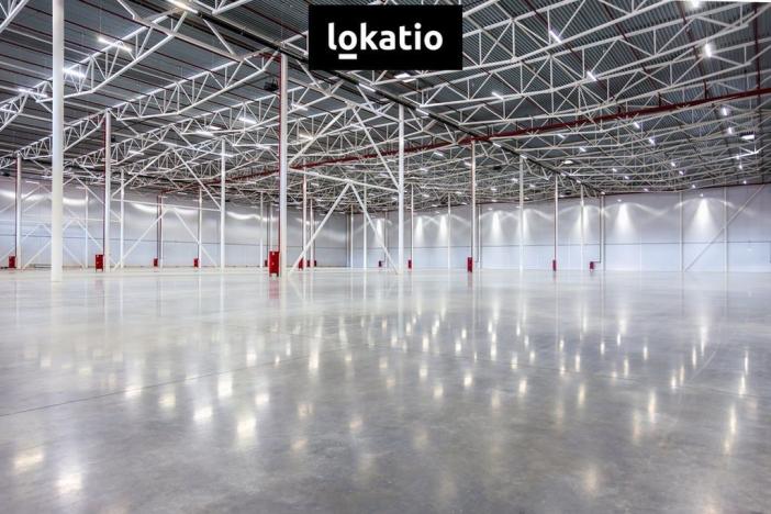 Pronájem skladu, Hustopeče, 8150 m2