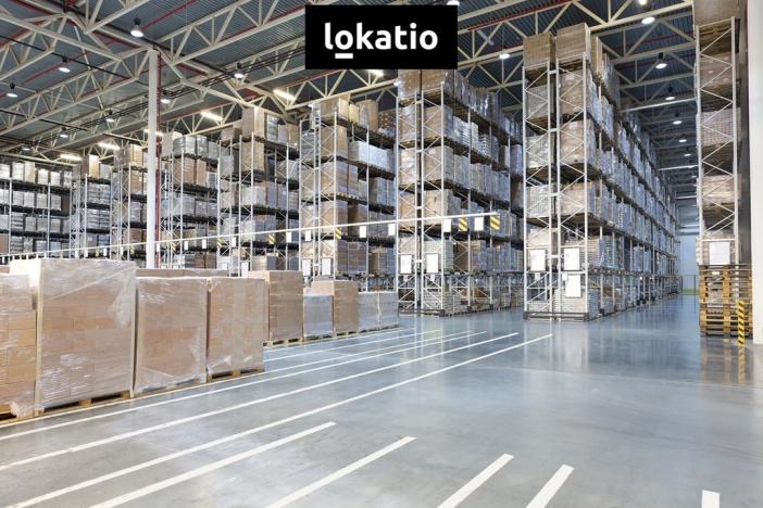 Pronájem skladu, Zákupy, U Trati, 15628 m2