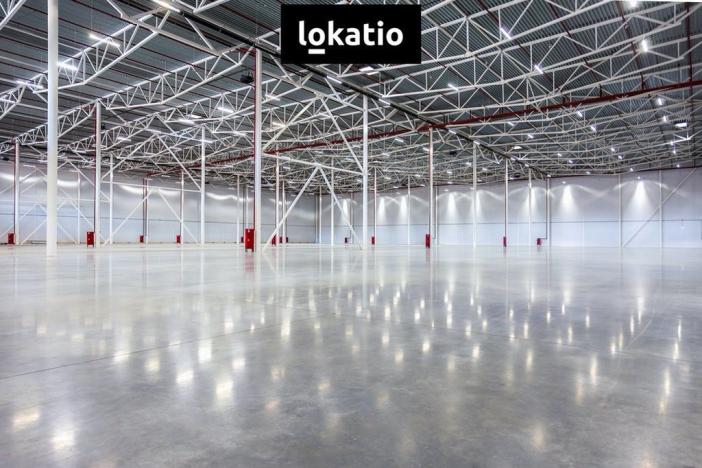 Pronájem skladu, Zákupy, U Trati, 15628 m2