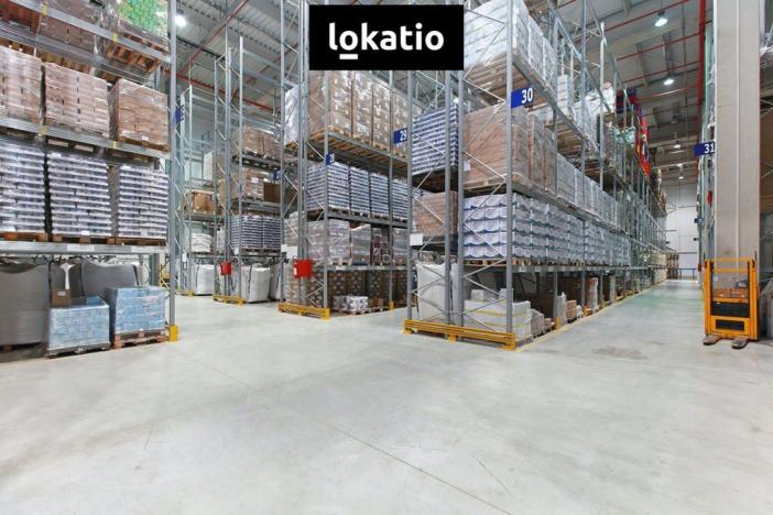 Pronájem skladu, Kostelec - Ostrov u Stříbra, 18000 m2