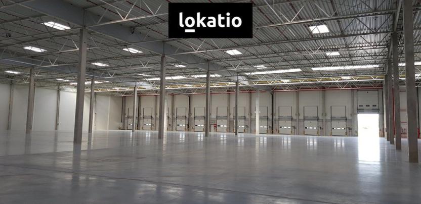 Pronájem skladu, Jirkov, 4300 m2
