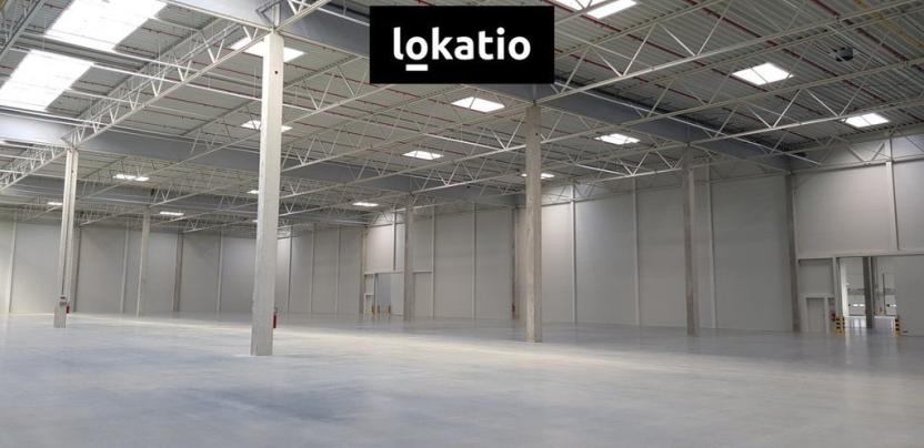 Pronájem skladu, Jirkov, 4300 m2