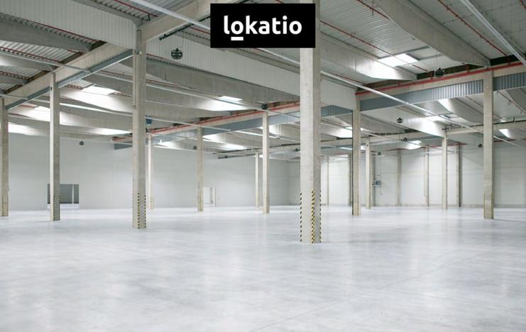 Pronájem skladu, Žatec, Plzeňská, 5562 m2