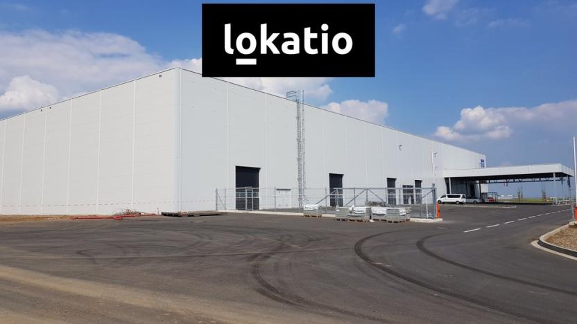 Pronájem skladu, Žatec, 9131 m2