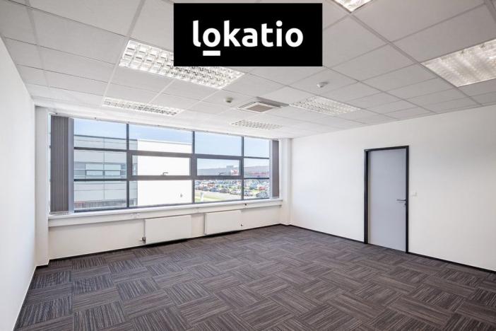 Pronájem skladu, Žatec, 9131 m2