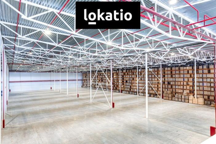 Pronájem skladu, Ostrava, 5000 m2