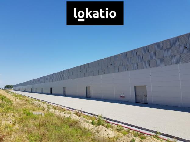 Pronájem skladu, Mošnov, 3456 m2