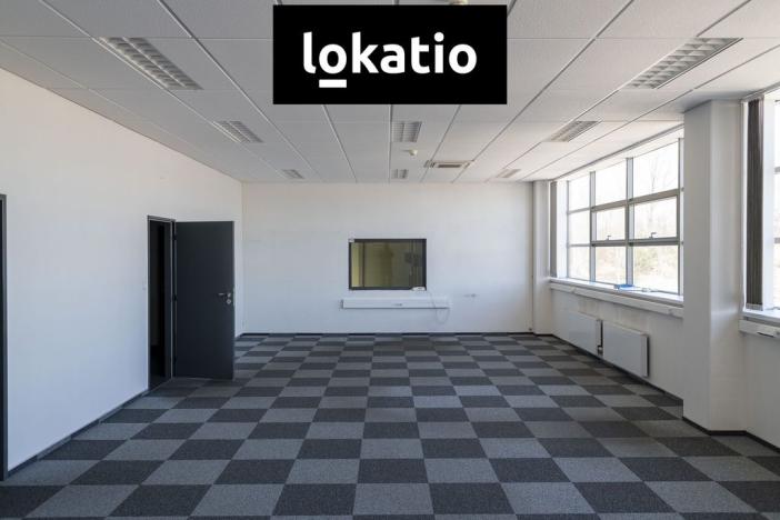 Pronájem skladu, Cerhovice, 14000 m2