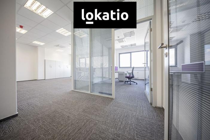 Pronájem skladu, České Budějovice, Okružní, 48313 m2