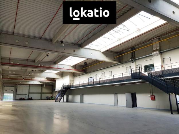 Pronájem skladu, Brno, 37900 m2