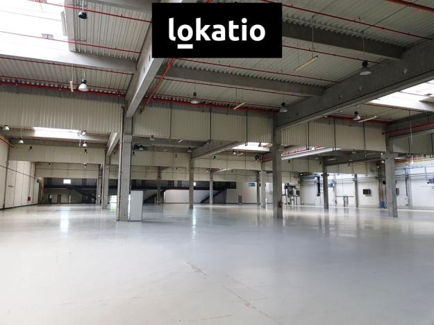 Pronájem skladu, Brno, 37900 m2