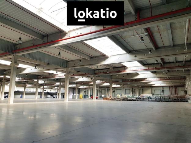 Pronájem skladu, Brno, 37900 m2