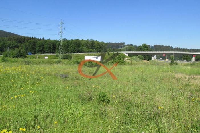 Pronájem komerčního pozemku, Vsetín, 3934 m2