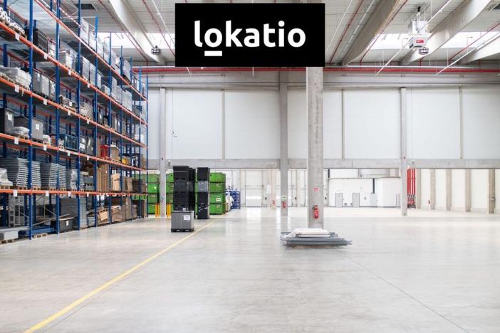 Pronájem skladu, Solnice, Průmyslová, 13143 m2