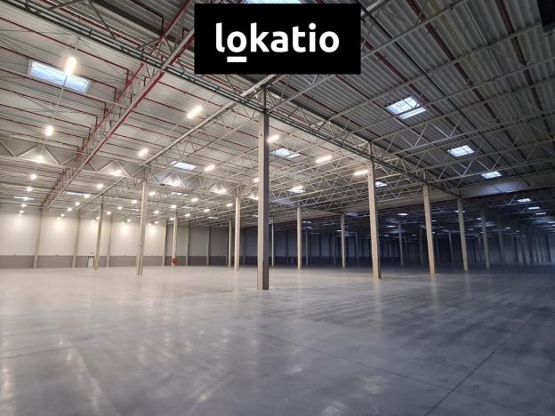 Pronájem skladu, Ostředek, 5672 m2