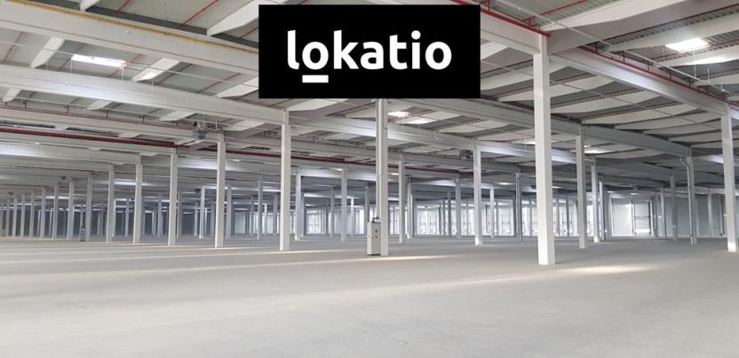 Pronájem skladu, Lovosice, Terezínská, 6248 m2