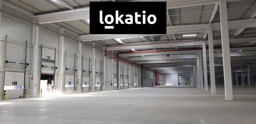 Pronájem skladu, Lovosice, Terezínská, 6248 m2