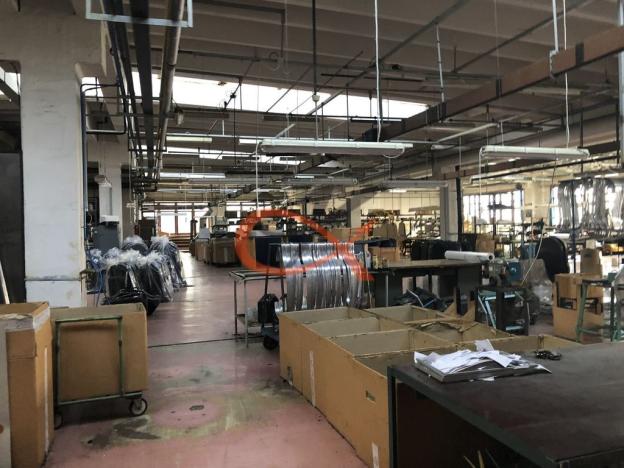 Pronájem komerční nemovitosti, Kraslice, Dukelská, 1000 m2